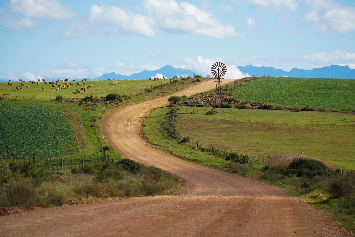 A dirt road winding past green farmland and a windmill, with livestock grazing in the distance.
