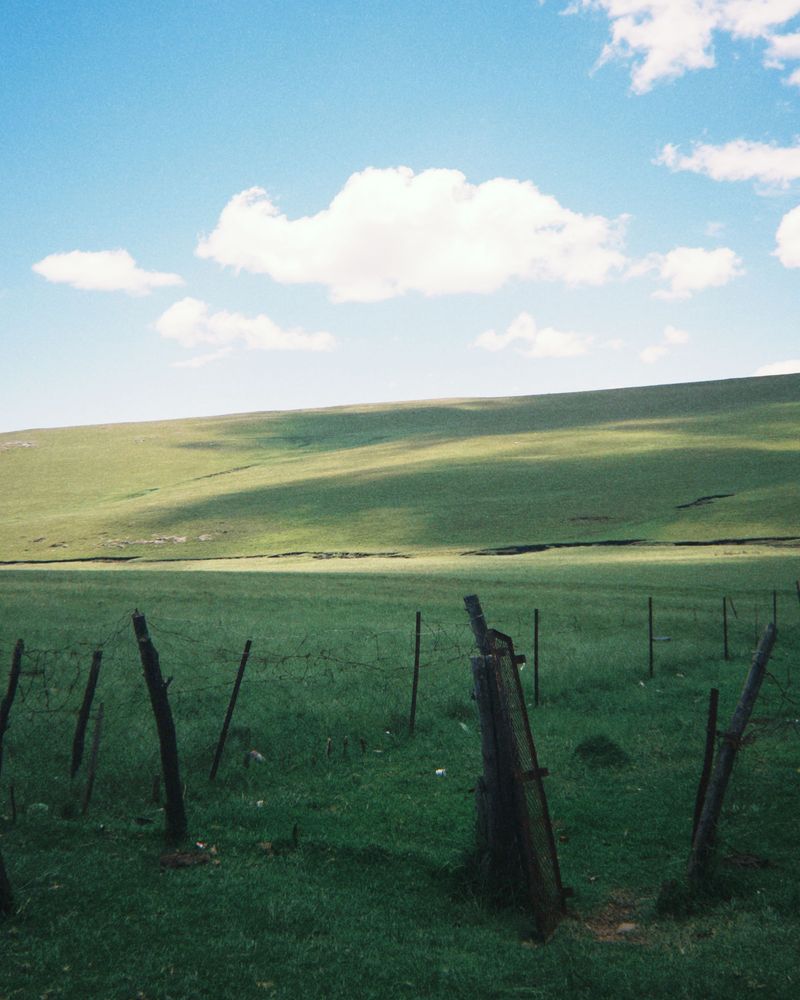 A fence line running across wide green fields under a blue sky.