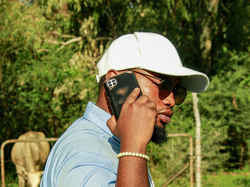 A man in a white cap talking on his phone outdoors, with a cow behind a farm gate.